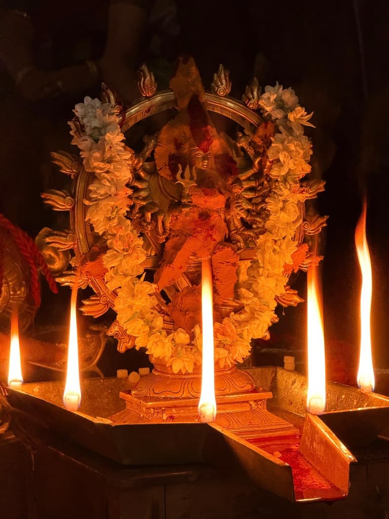 Maha Sudarshana Homam